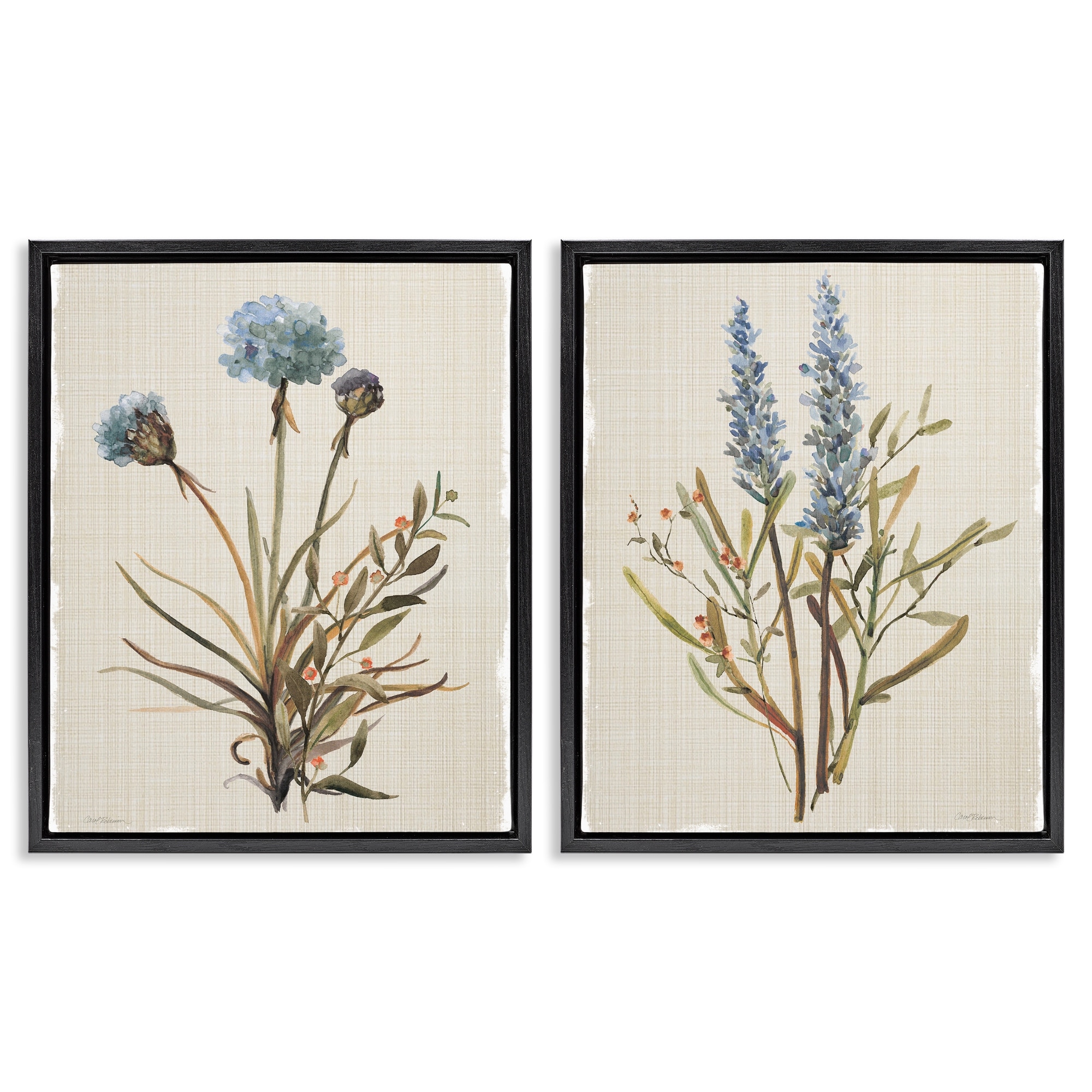Stupell Natural Budding Blooms Framed Floater Canvas Wall Art Design By Carol Robinson (Set of 2)