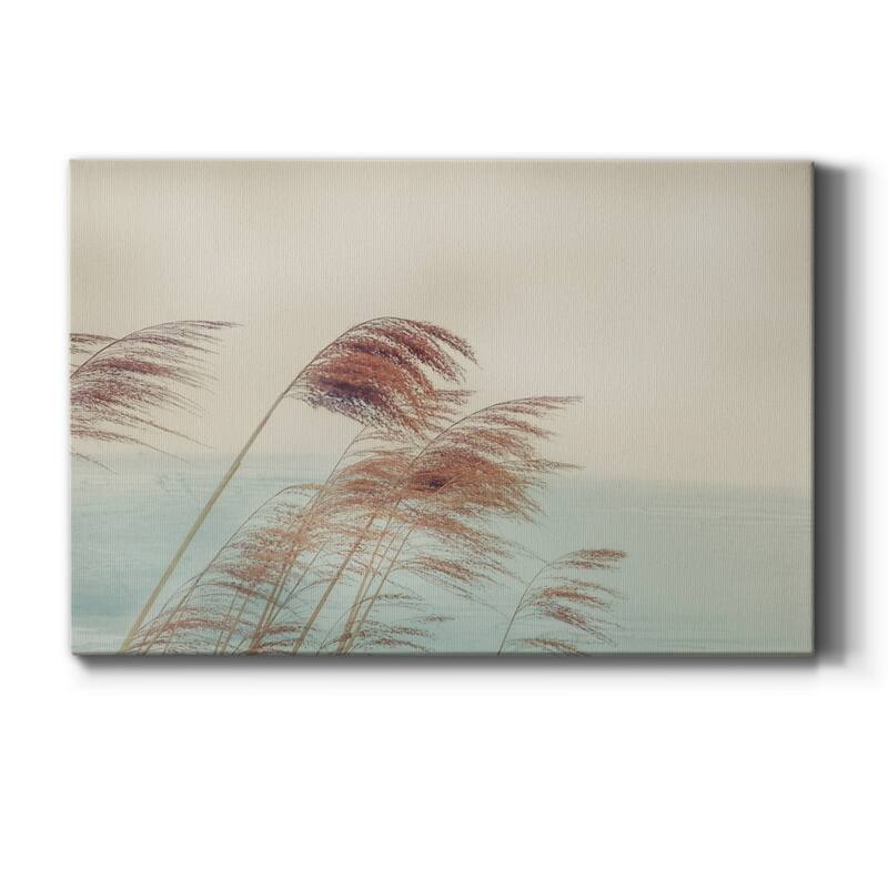 Windy I Premium Gallery Wrapped Canvas - Ready to Hang - 32X48