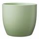 Option Matte Linden Green