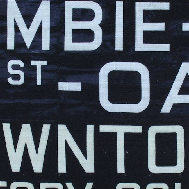 Vancouver Bus Scroll 20x20 Throw Pillow with Polyfill Pillow Insert