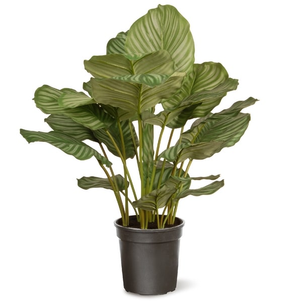 30" Garden Accents Calathea Artificial Plant in Black Pot - N/A