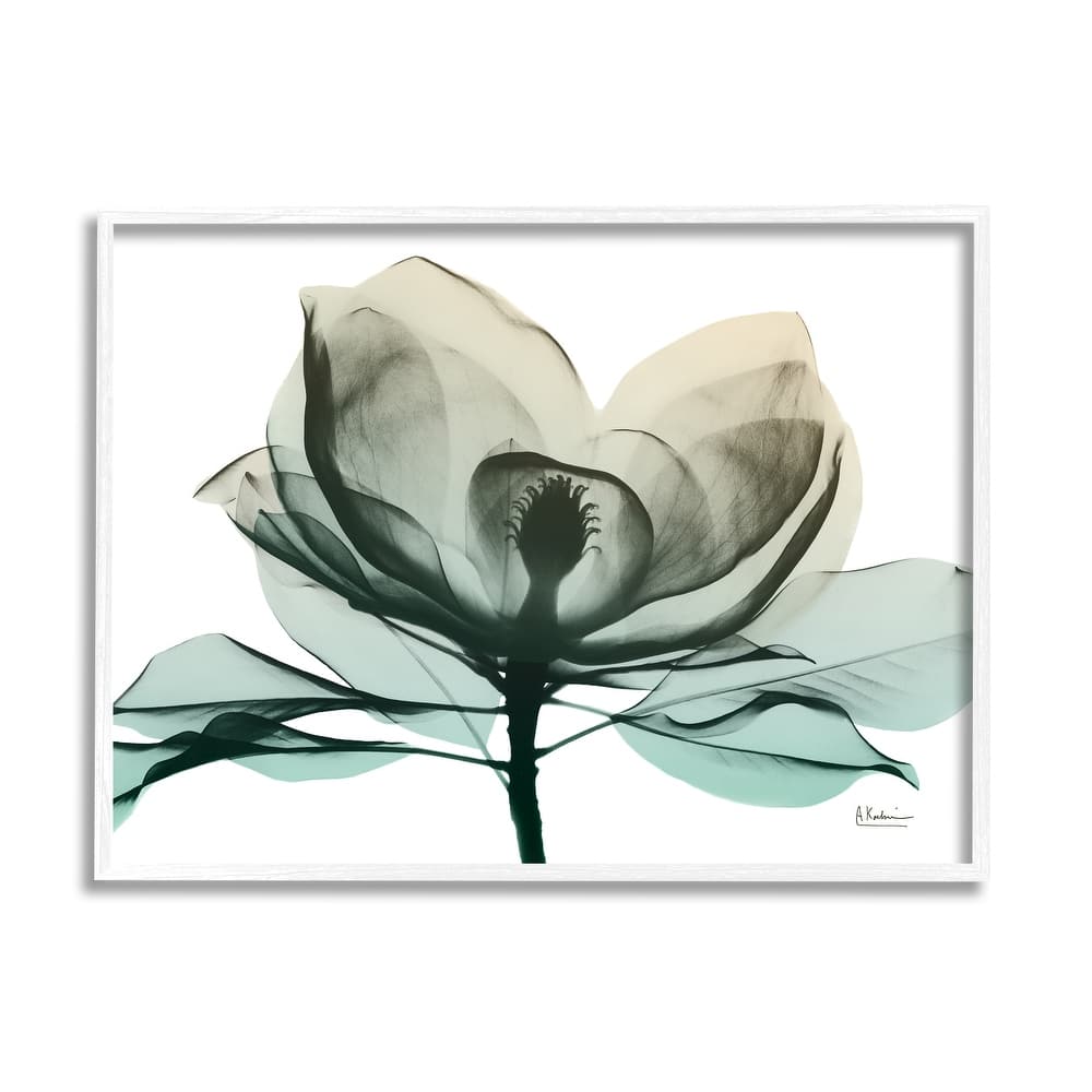 Stupell Green X-Ray Flower Framed Giclee Art Design by Albert Koetsier