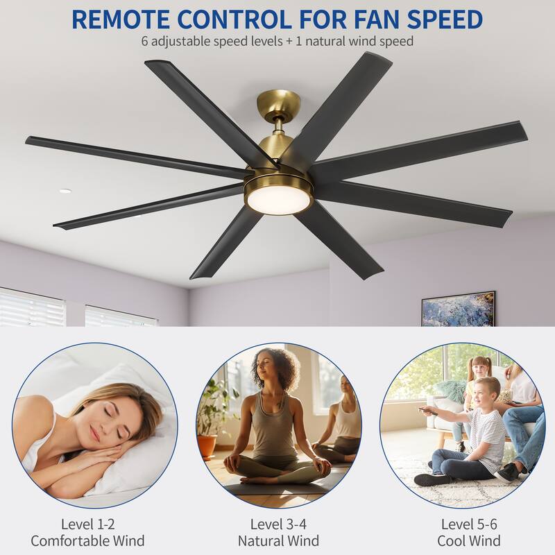 Moasis 8 Blade Ceiling Fan with Light and Remote 65 Inch Large Black and Gold Ceiling Fan - 65"W x 65"L x 39.5"H