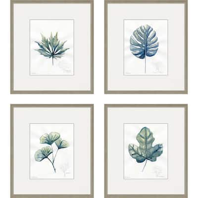Plant Drawings S/4 Framed Art Exclusive Giclee Under Glass - Blue