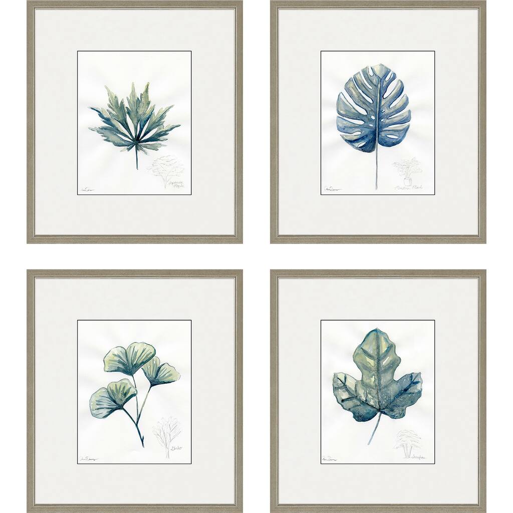 Plant Drawings S/4 Framed Art Exclusive Giclee Under Glass - Blue