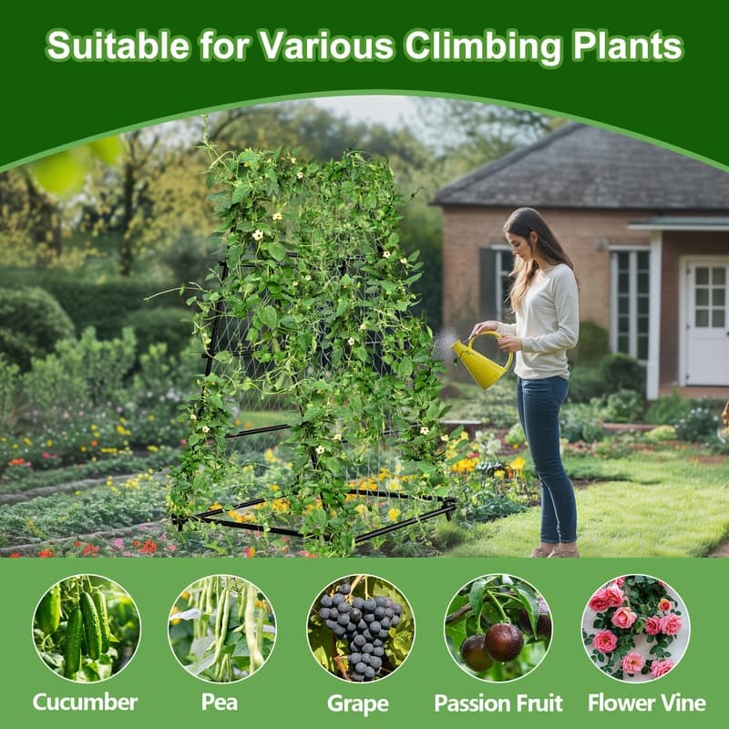Vegetable Fruit Flower Trellis for Raised Bed Frame Garden Arch Metal Plant Support for Climbing Plants Cucumber Outdoor