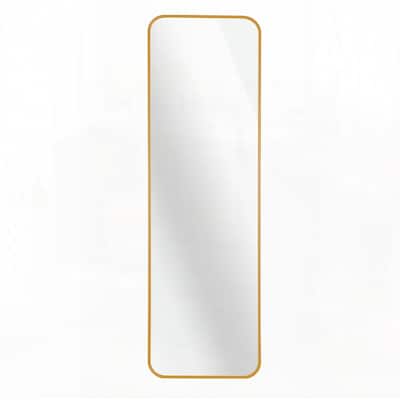 47 x 14IN Door mirror