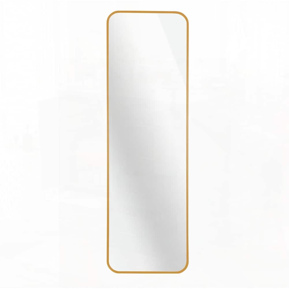 47 x 14IN Door mirror