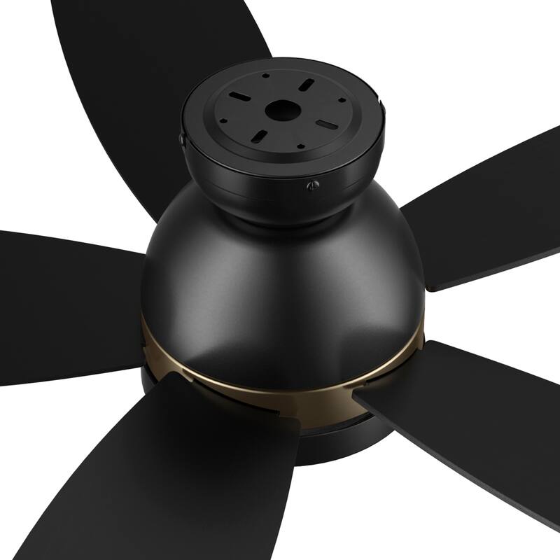 CARRO Cerus 48" 5-Blade Indoor Ceiling Fan with Light and Remote - N/A