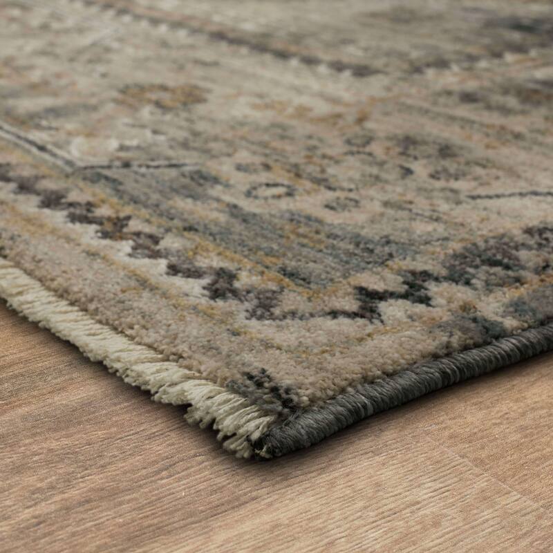 Karastan Gamin Distressed Medallion Area Rug