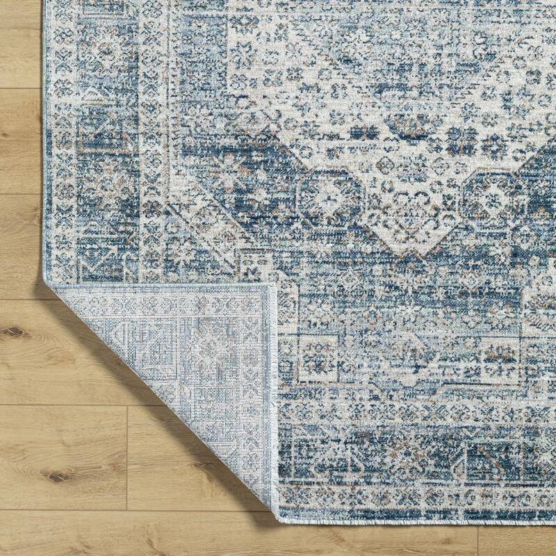 Cutler Traditional Medallion Area Rug