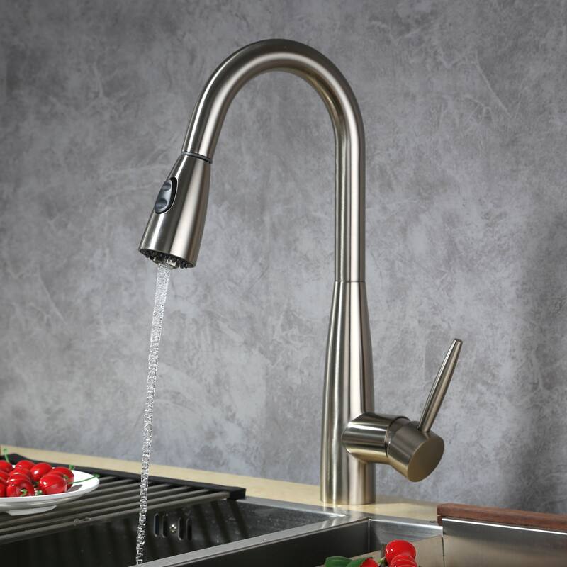 Dowell Series 8002/005 Single Handle Kitchen Faucet/Sprayer