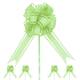 Option Light Green