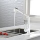 preview thumbnail 5 of 33, Single-Handle Pull-Out Sprayer Kitchen Faucet in Stainless