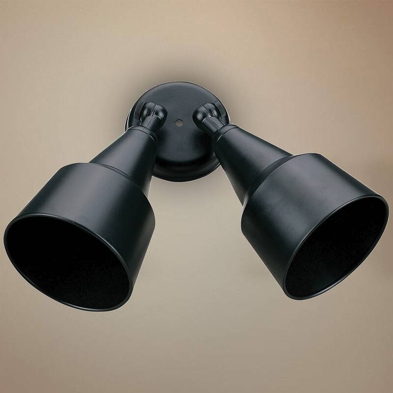 AA Warehousing Outdoor Black 2-light Flood Light