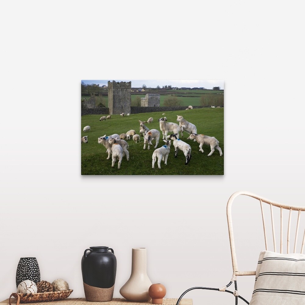 Wallpaper Shop Gambolling Lambs Kells Monastry County Kilkenny Ireland For Android Free