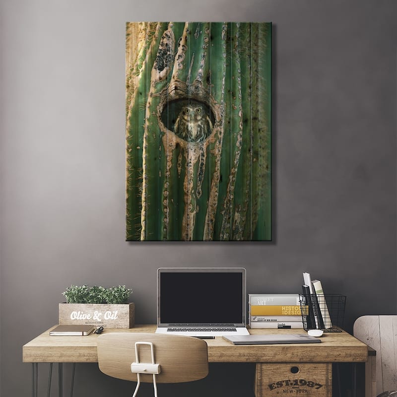 Ferruginous Pygmy Owl Adult Peering Out From Nest Hole In Saguaro Cactus, Altar Valley, Arizona Print On Wood by Tom Vezo