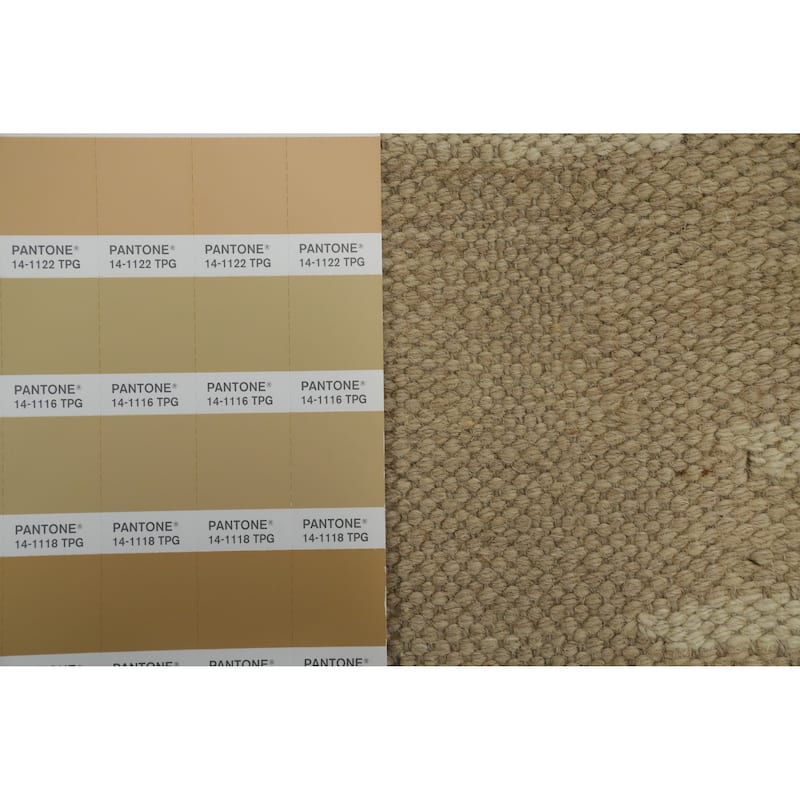 Hand Woven Southwestern Wool Beige Geometric Area Rug - 5' 11'' X 4' 0''