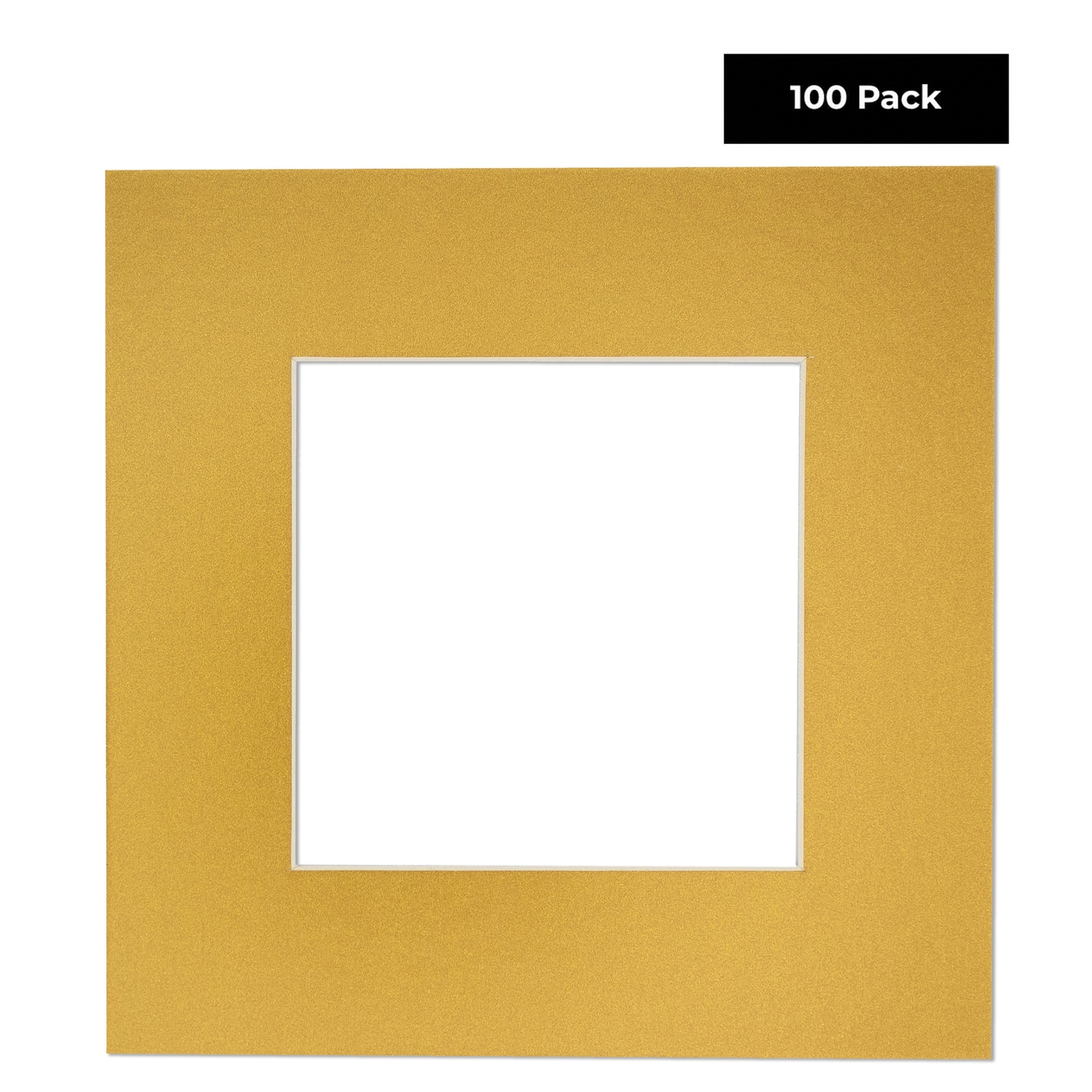 8x10 Mat for 10x12 Frame - Precut Mat Board Acid-Free Metallic Gold 8x10 Photo Matte for A 10x12 Picture Frame