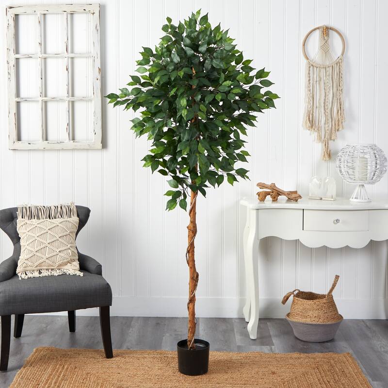 6' Ficus Artificial Tree - 6"
