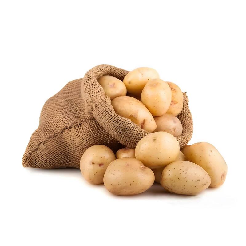 Wellco Burlap Breathable Jute Bags Accessory for Potato Tomato Plants