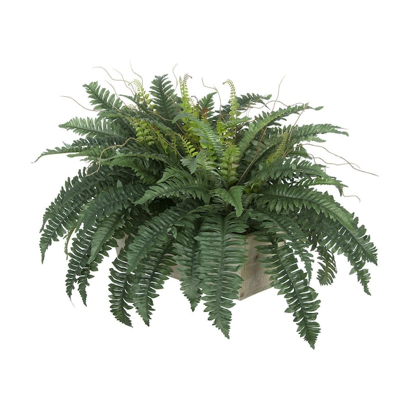 Faux Fern in Washed Wood Ledge Planter