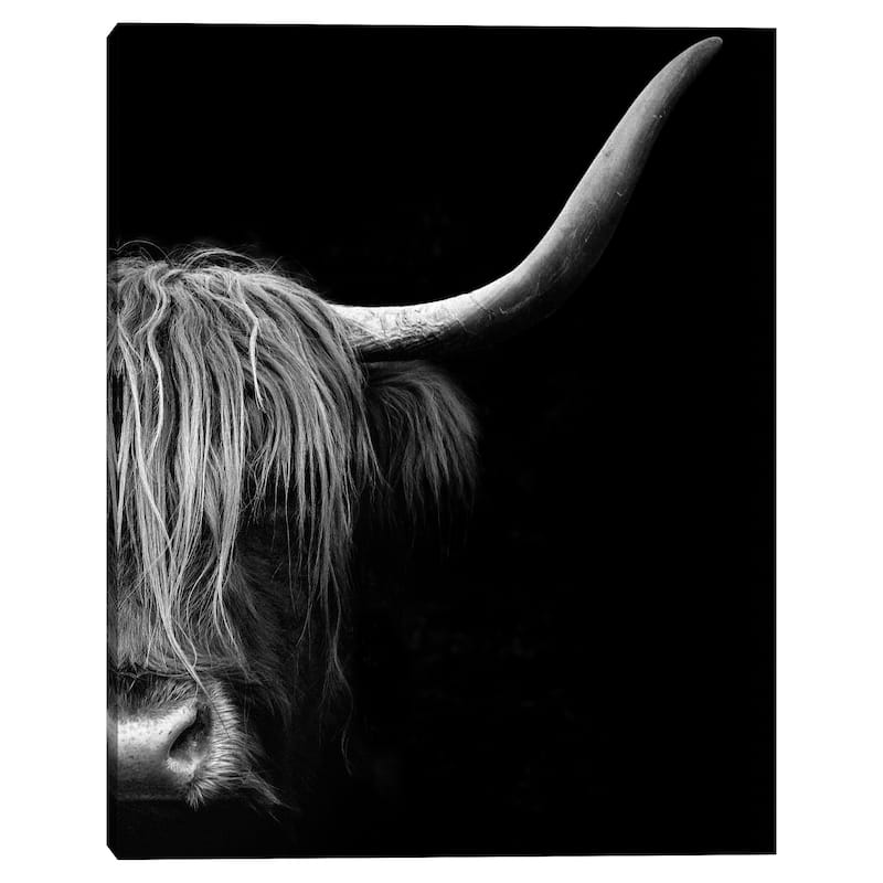 Face to Face by Belle Maison Canvas Art Print