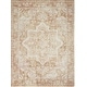 preview thumbnail 19 of 88, Nourison Astra Machine Washable Distressed Area Rug 4' x 6' - Rust