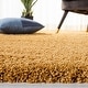 preview thumbnail 11 of 22, SAFAVIEH Hudson Shag Veroniki 2-inch Thick Rug