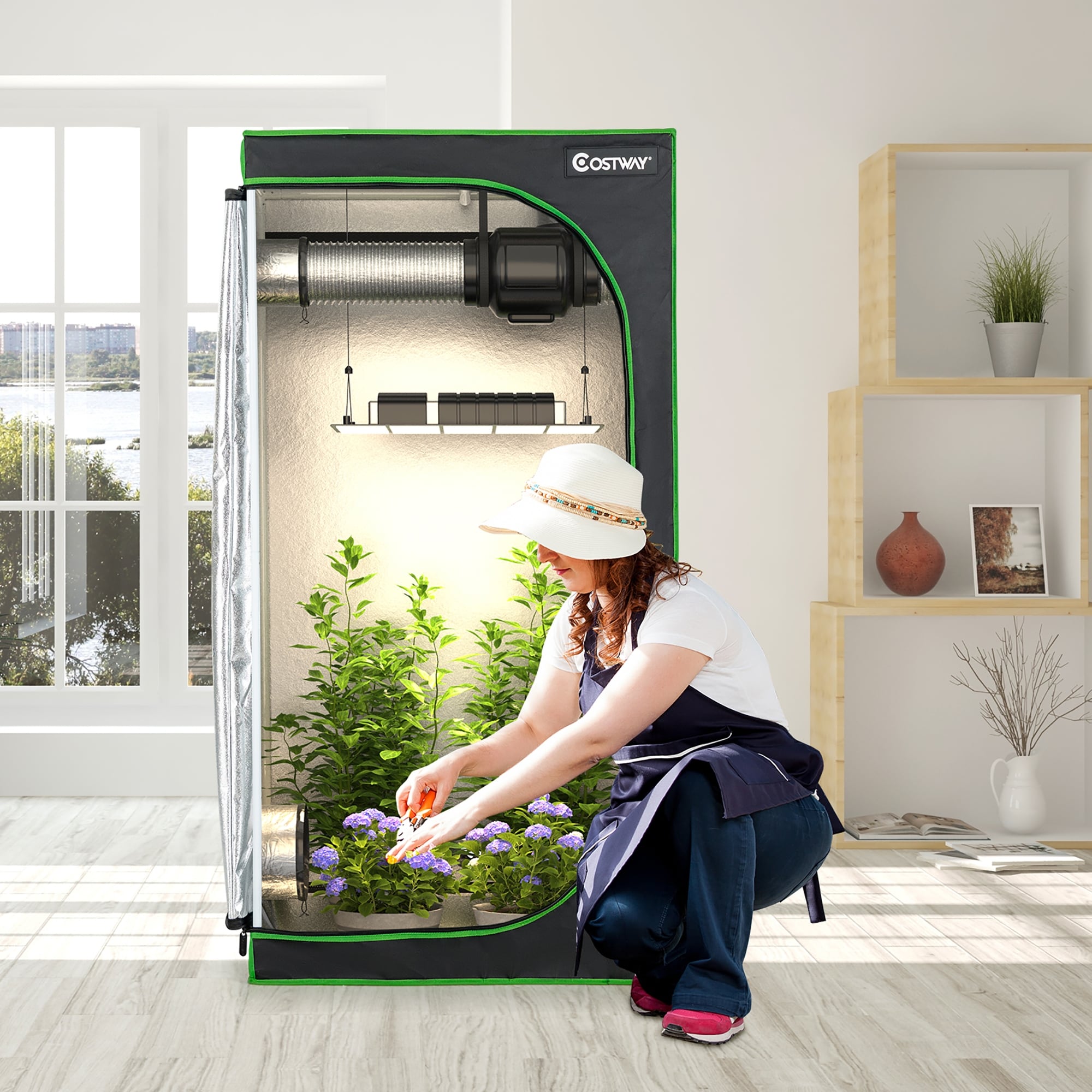 hydroponic grow tent