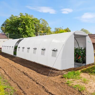 Moasis Greenhouse with Reinforced Steel Frame PE Cover