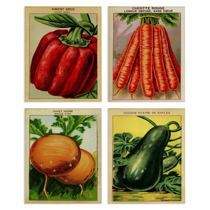 Stupell Rustic Garden Vegetables Canvas Wall Art Design By Lil' Rue (Set of 4) - 16 x 20