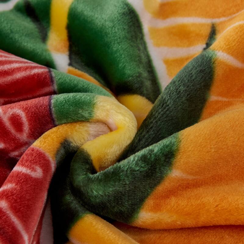 Raschel A&B Printed 2-ply Reversible Korean-style Plush Fleece Blanket
