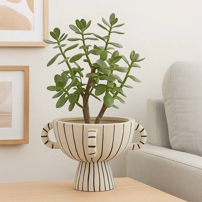 Javier Accent Planter with Loop Handles, Pedestal Black Beige Ceramic