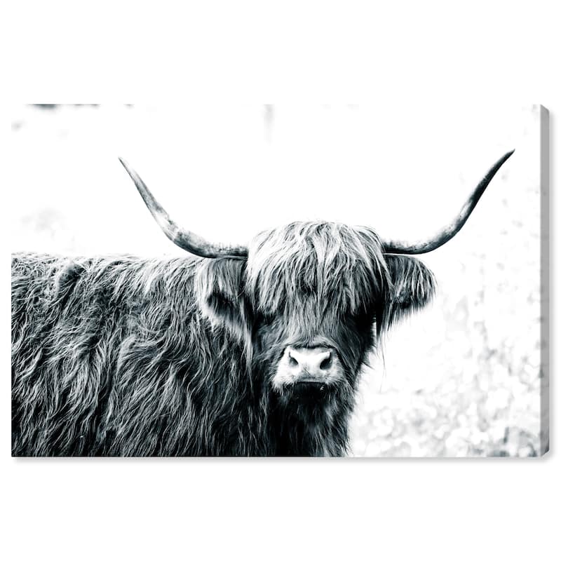 Wynwood Studio Canvas Animals Highland Cow Black and White White and Farmhouse Wall Art Canvas Print