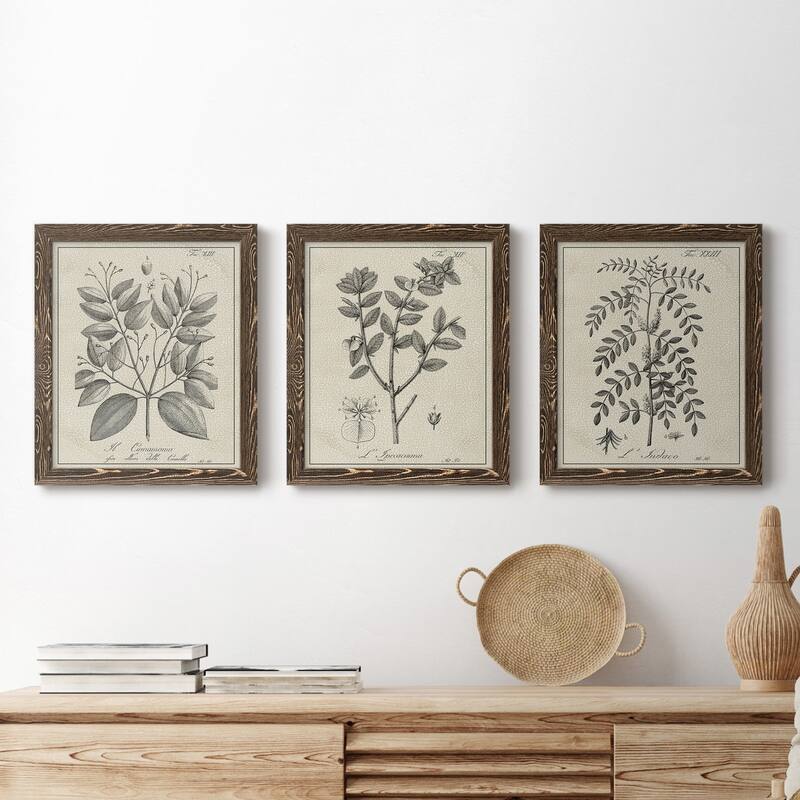 Antique Black & White Botanical VII-Premium Framed Canvas - Ready to Hang - Multi-Color