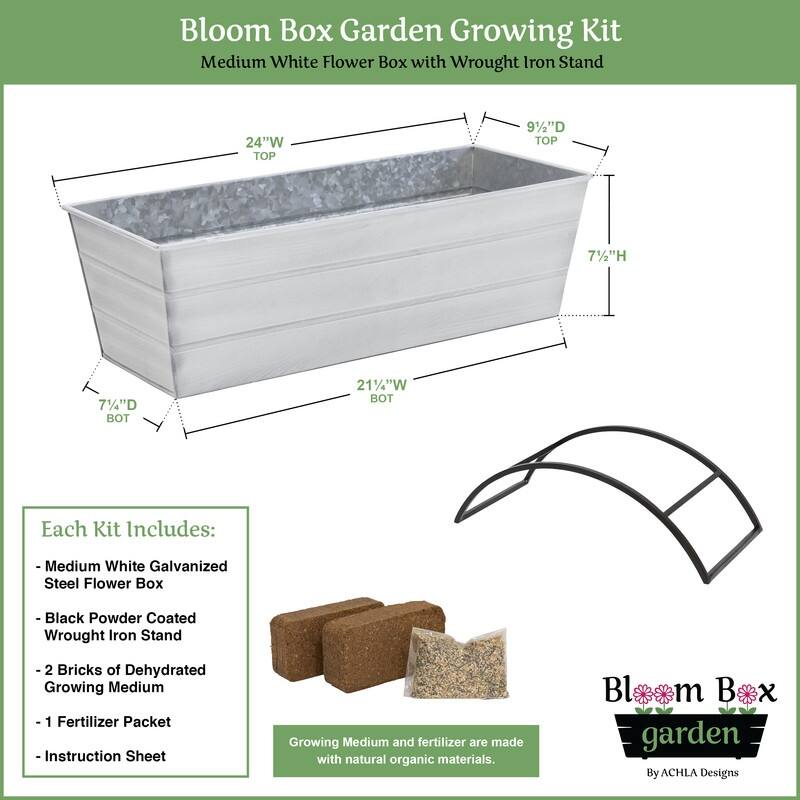 Achla Designs 24" W Medium Galvanized Steel/Wrought Iron Indoor Oudoor Bloom Box Garden Growing Kit With Odette Stand
