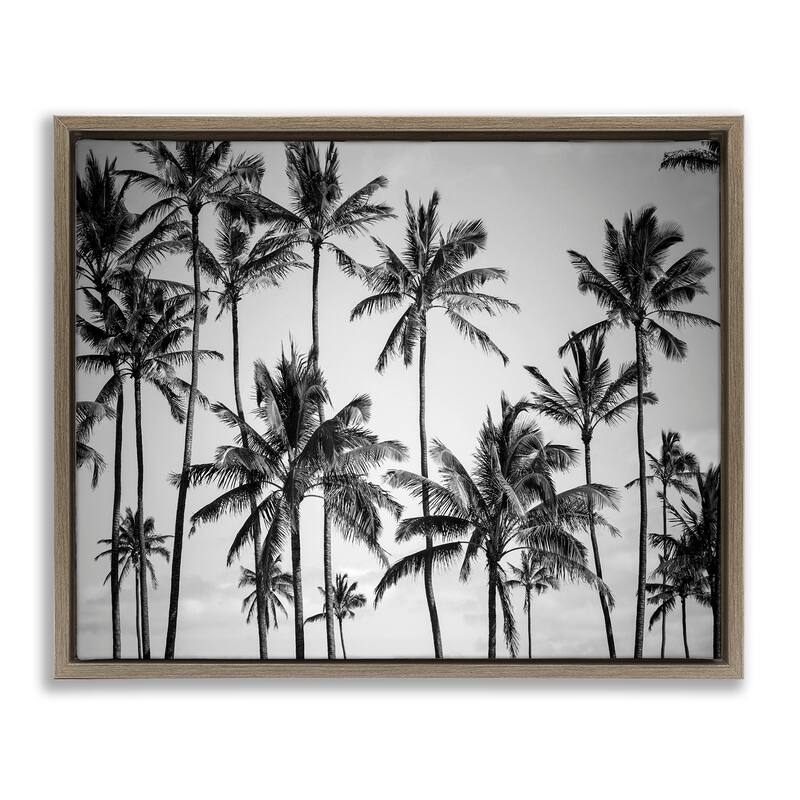 Stupell Palm Trees Skyline Black and White Photography Floater Frame