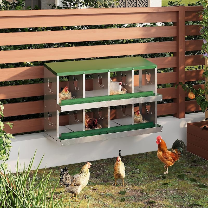 Wall-Mount or Free-Standing Metal Chicken Nesting Box for Hens, Green - Green 8 Compartments