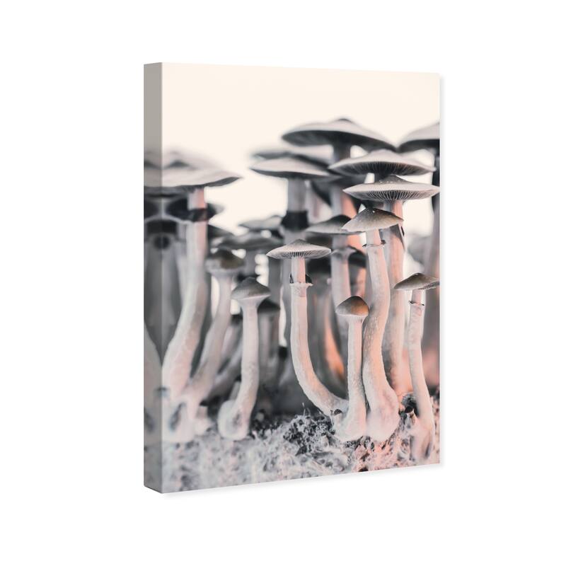 Wynwood Studio Canvas Nature and Landscape Silver Mushrooms White and Modern & Contemporary Wall Art Canvas Print