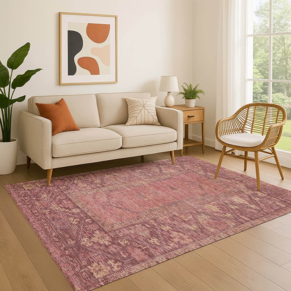 Premium Washable Super Soft Traditional Global Mayfield Rug