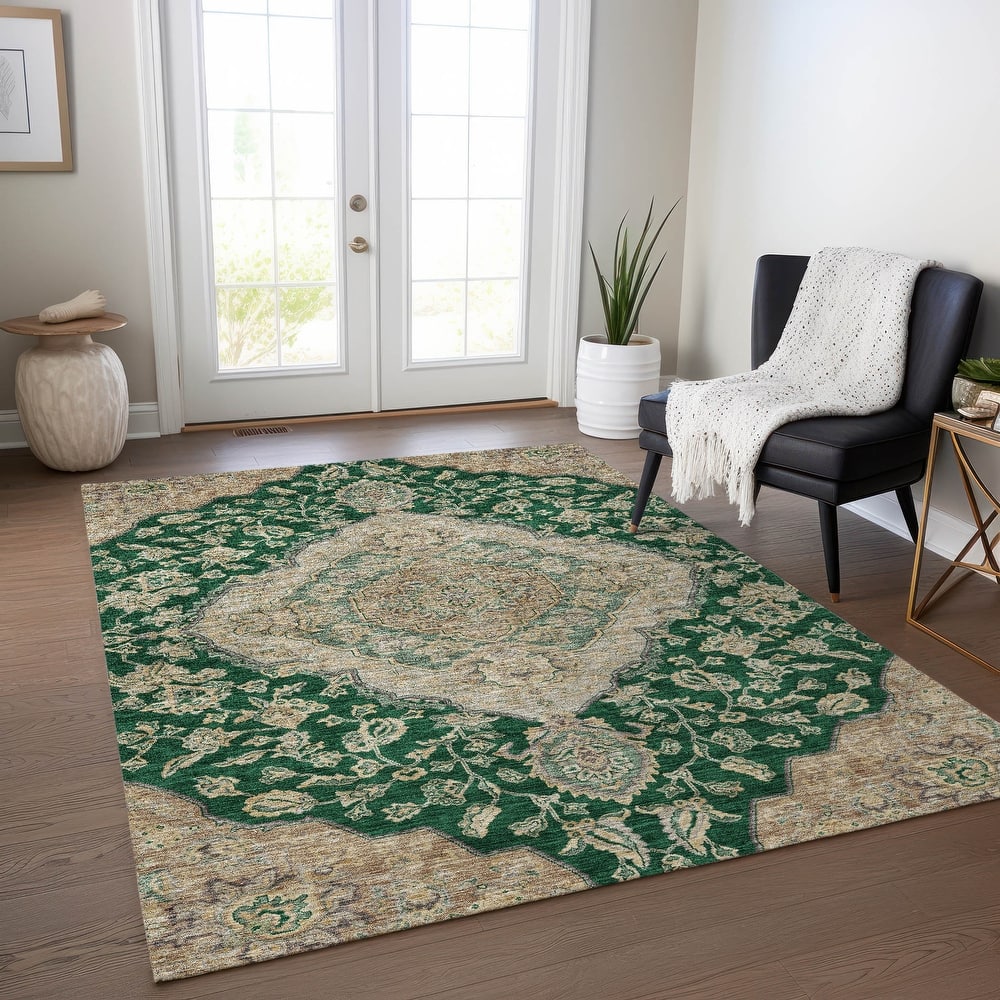 Machine Washable Indoor/ Outdoor Traditional Medallion Chantille Rug