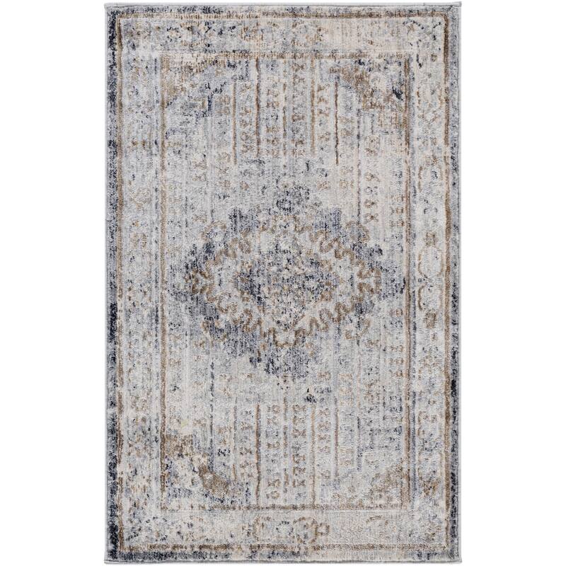 Artistic Weavers Delora Distressed Persian Grey Area Rug