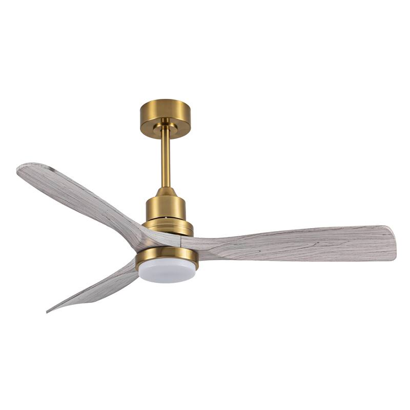 Morden LED Ceiling Fan with Light and Remote