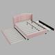 Option Pink