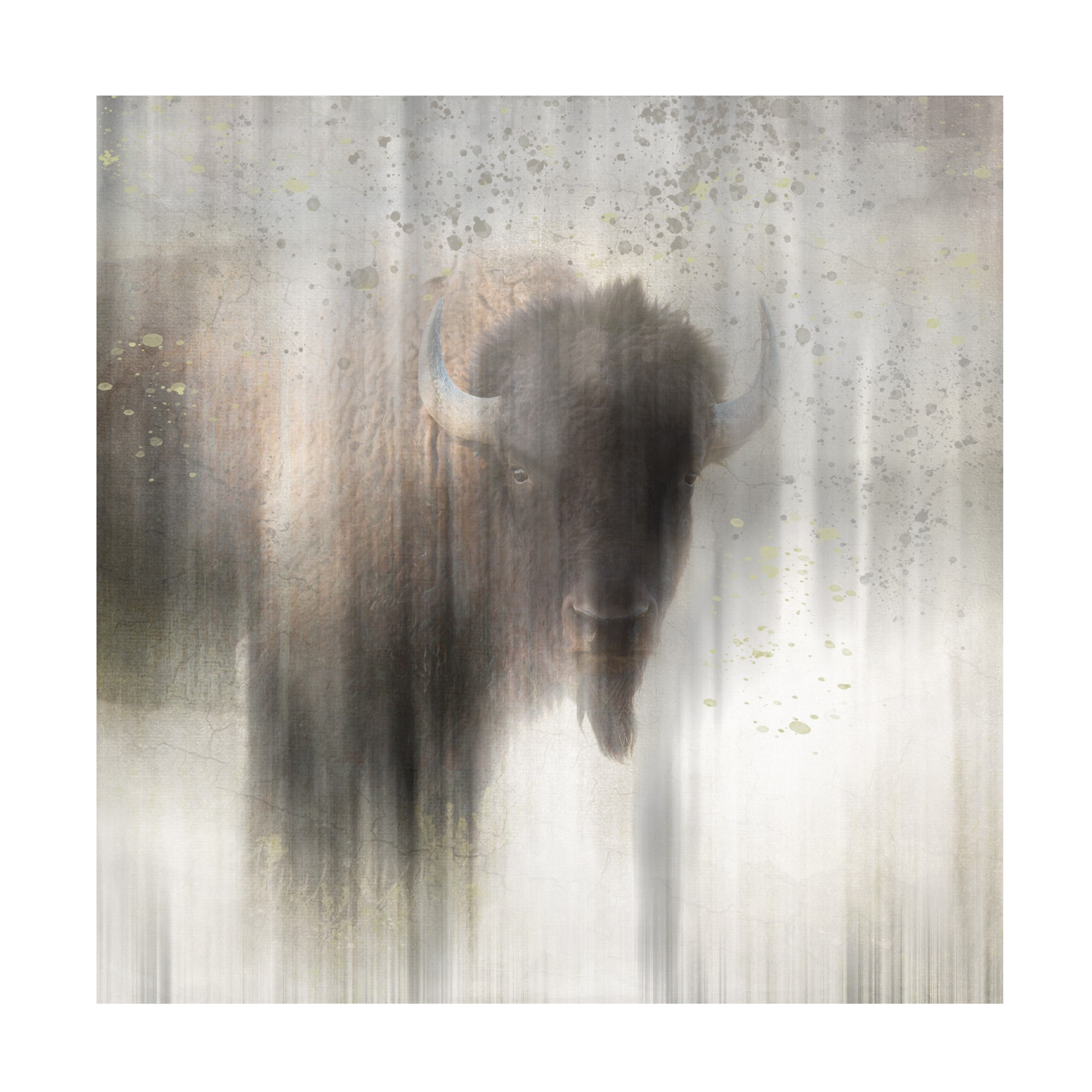 LightBoxJournal 'Antique Wildlife Buffalo' Canvas Art