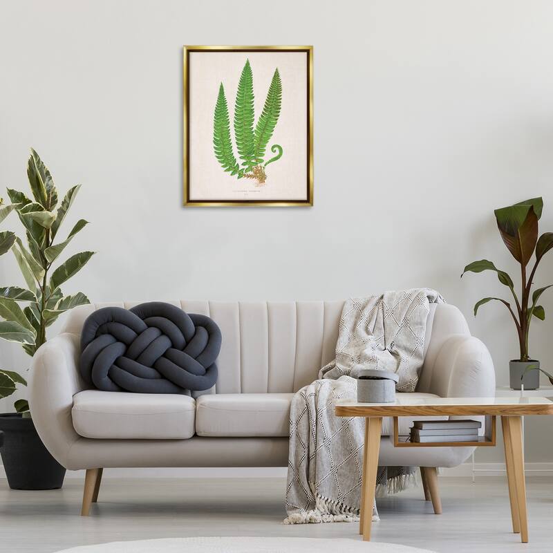 Stupell Natural Fern Branch Trio Framed Floater Canvas Wall Art Design By Phillipa Katz