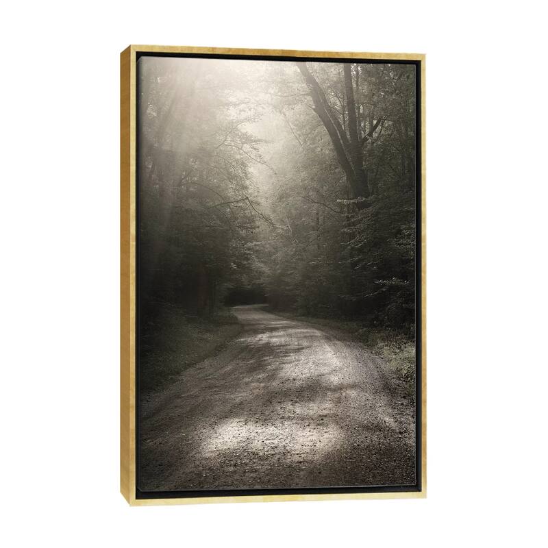 iCanvas "Back Country Road" by Nicholas Bell Photography Framed Canvas Print - Gold - 40x26