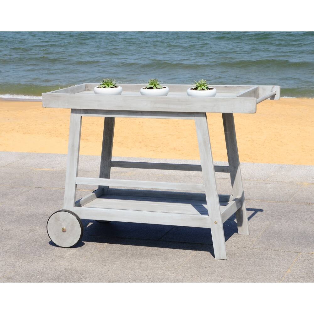 SAFAVIEH Outdoor Hayleigh Bar Cart - 48Wx20Dx32H
