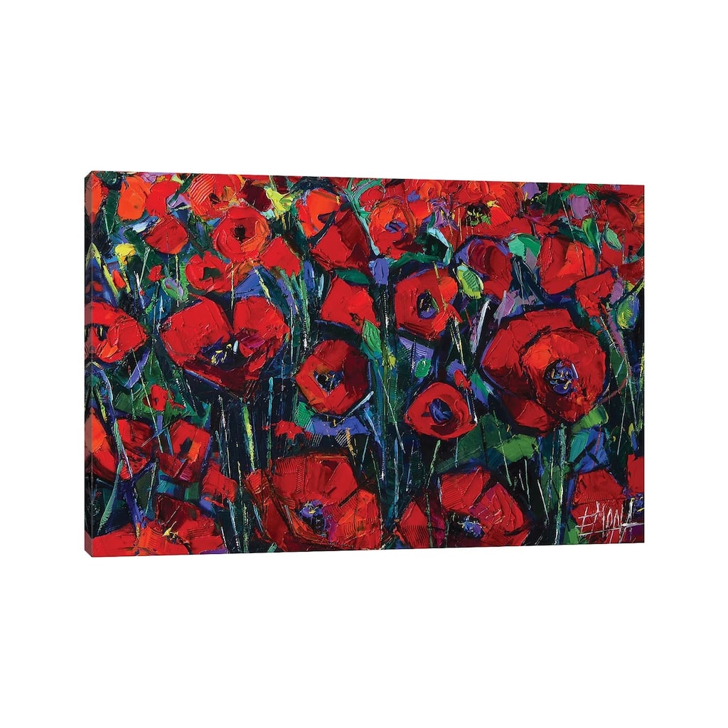 iCanvas "Poppies Symphony" by Mona Edulesco Canvas Print